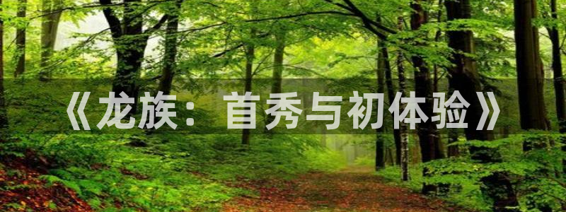 omofun动漫视频网：《龙族：首秀与初体验》